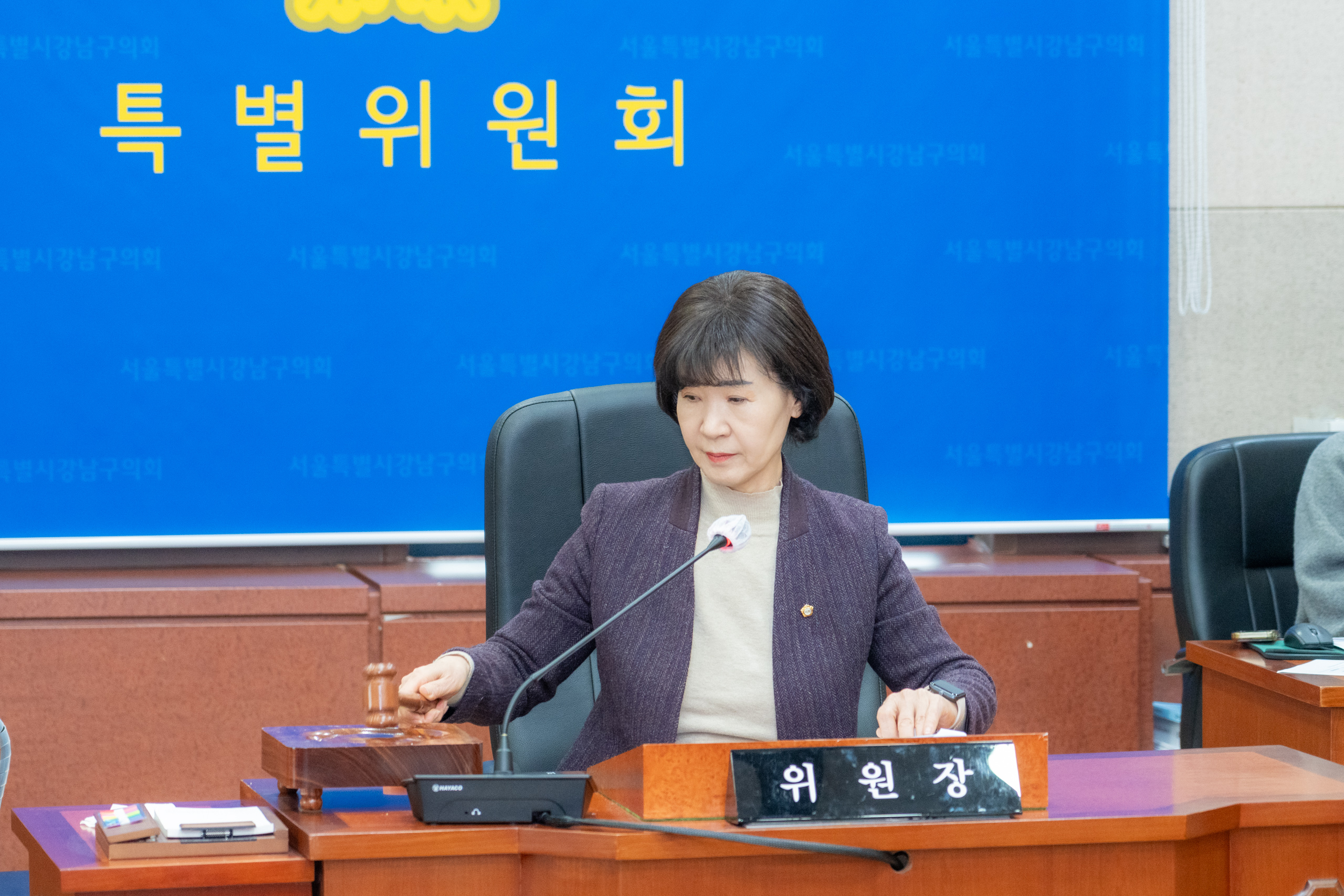 제324회 임시회 폐회중 제1차 강남미래전략추진 특별위원회