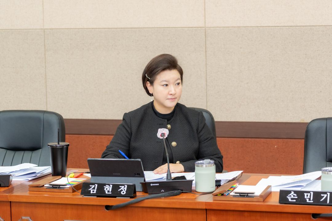 제317회 임시회 행정재경위원회 (17).jpg