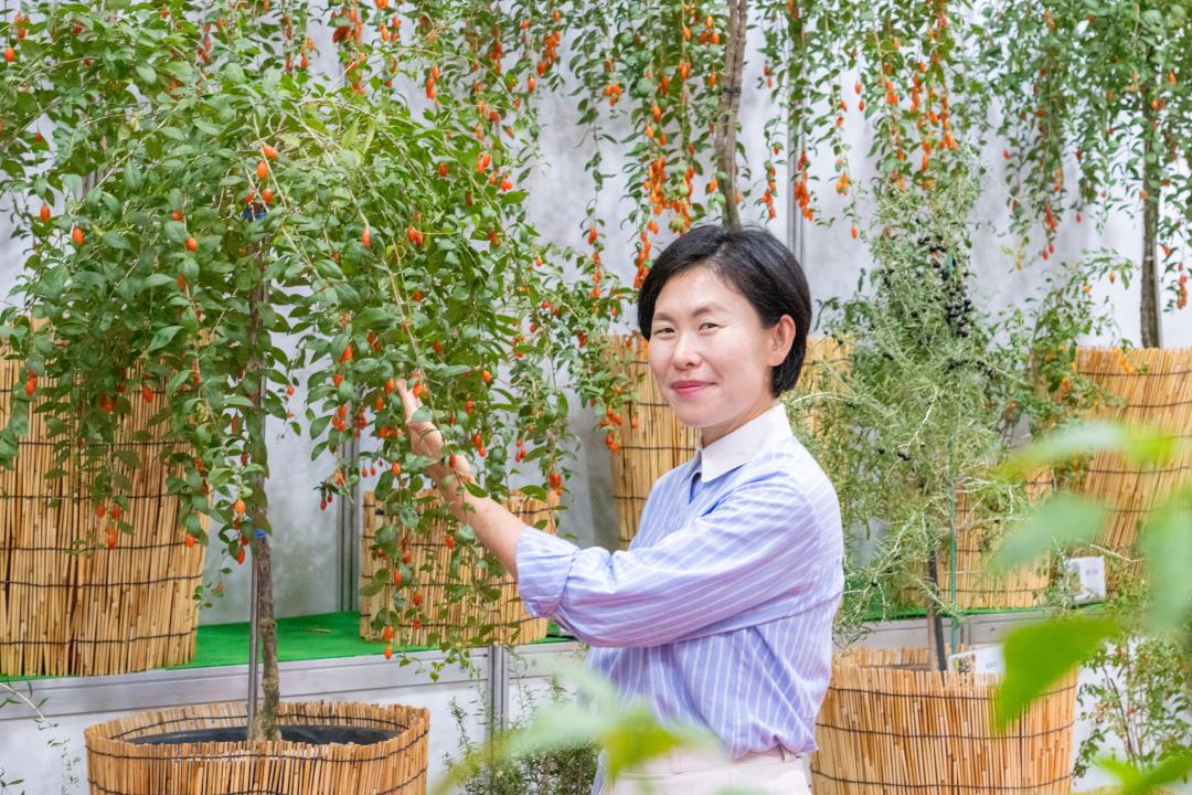 청양고추구기자 문화축제 개막식 (95).jpg