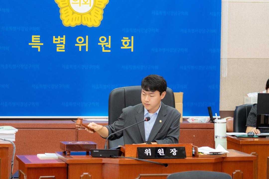 제328회 정례회 폐회중 제4차 강남미래전략추진 특별위원회 (14).jpg