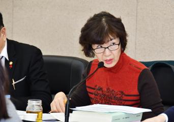 제262회 제2차정례회 예산결산특별위원회